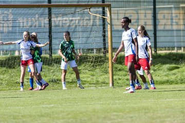 Bild 402 - wBJ Hamburger SV - VfL Wolfsburg : Ergebnis: 5:1